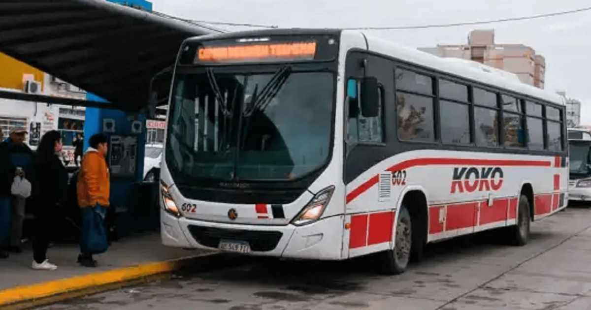 Fin de semana largo en el Alto Valle: ¿cómo funcionarán los servicios por el feriado del 8 de diciembre?