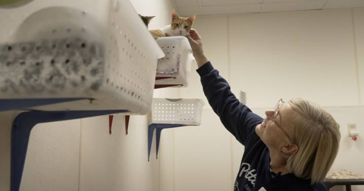Oshkosh humane society reaches new agreement with City of Oshkosh