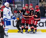 Grand Rapids Griffins in rarefied AHL air after 20 games