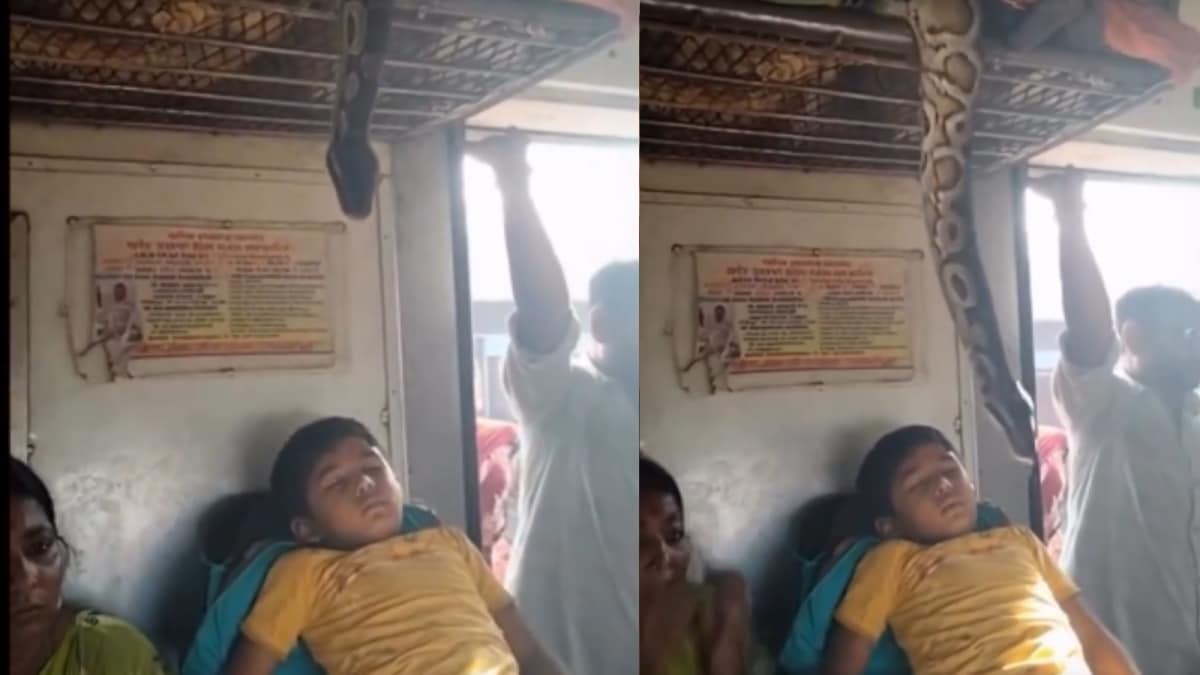 Is This Video Of Python Hanging Over Child On A Train Real? Find Out