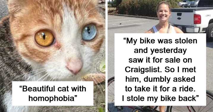 64 Funny And Awkward Moments When An Attempt Was Made But Didn’t Go As Expected (New Pics)