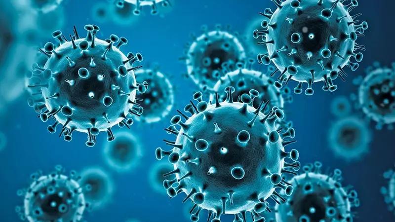 Nueva variante de influenza H3N2 en el Hemisferio Norte y alerta para el invierno en el sur