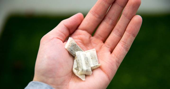 Unregulated nicotine 'snus' pouches on rise among Scots teens amid health fears