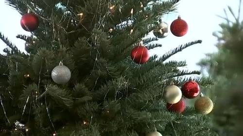 Hidden allergens on your Christmas tree? How to keep the holidays sneeze