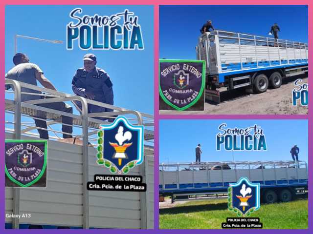 PLAZA: Circulaba Con Irregularidades En El Traslado De Ganado Y Fue Interceptado En Un Control Sobre La Ruta Provincial 7