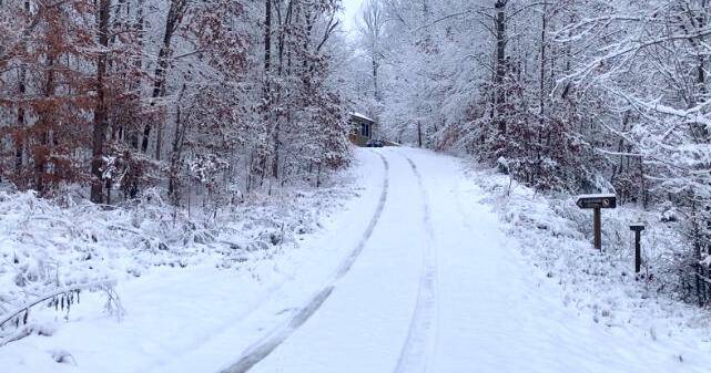 Rockfish Wildlife Sanctuary fundraising to repair driveway