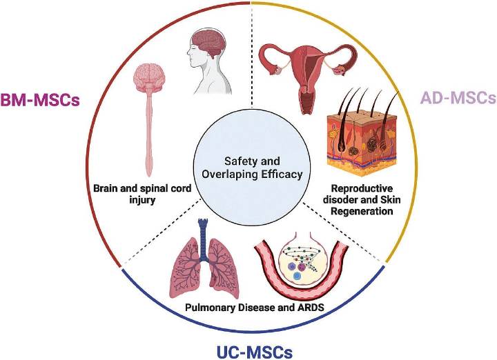 Stem cell therapy helps AMD patients see again: Study