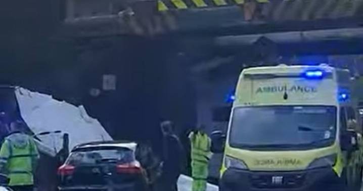 Children injured after school bus roof ripped off in horror bridge crash