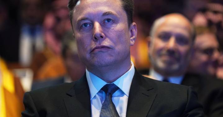 Elon Musk hate tweets help raise massive sum for causes he hates