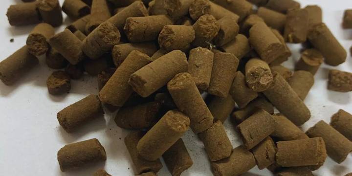 Biopellet: una nueva vía para mejorar la fertilidad del suelo con economía circular