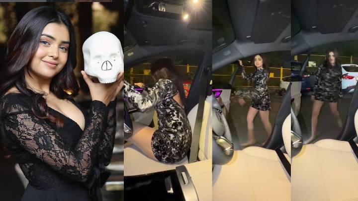 Viral Video Shows Actress Performing Car Stunt, Police Takes Cognizance Viral News
