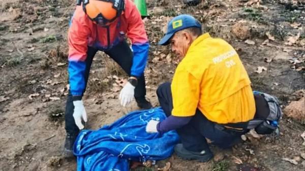 Una niña de 6 años fallecida y tres lesionado tras vuelco vehicular en la autopista Simón Bolívar, Guayana