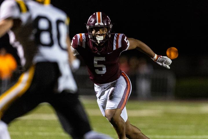 Meet the 2025 Daily Southtown Football All