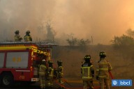 MOP y CONAF presentan "Plan Nacional de Cortafuegos 2025" para prevenir incendios forestales