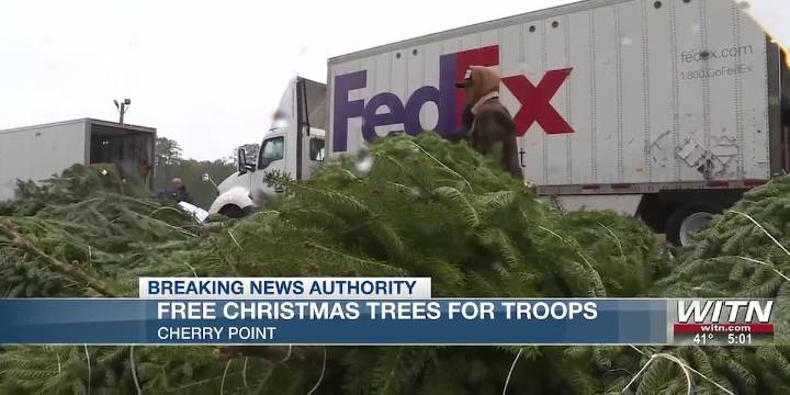 Free Christmas trees for troops