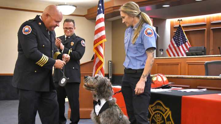 Meet Rigs, first therapy dog with Melbourne Fire Department