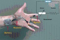 La electrónica por fin tiene una salida limpia: crean una batería que se inspira en los limones, se estira un 80% y desaparece del todo en semanas