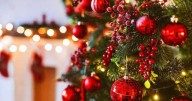 Por qué el árbol de Navidad se arma el 8 de diciembre