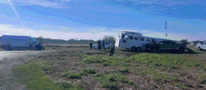 1 hospitalized in Edcouch horse trailer crash
