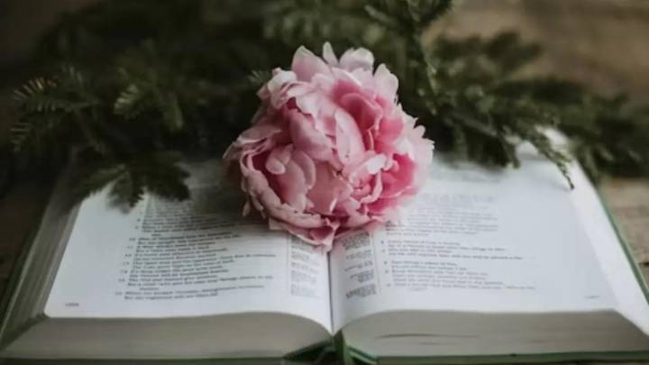 Word of the Day, December 04: ‘Alibi’