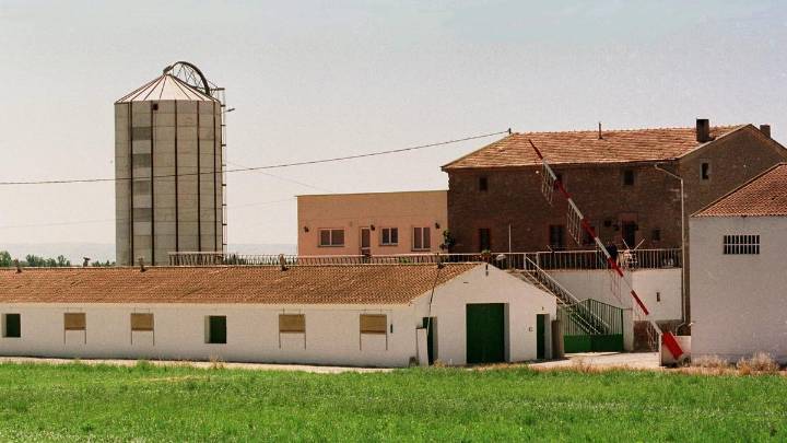 La Comisión Europea enviará veterinarios a Cataluña a supervisar las medidas contra la peste porcina