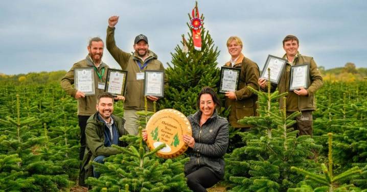 Meet the Leicestershire growers who have provided Christmas tree for 10 Downing street