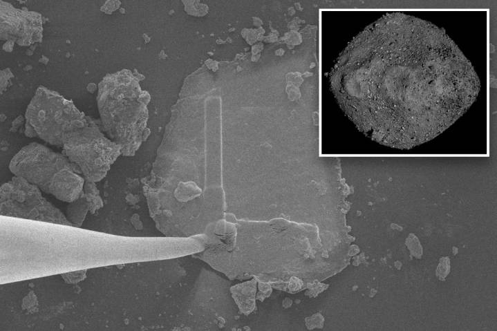 Asteroid hurtling toward Earth found to be teeming with building blocks of life: researchers