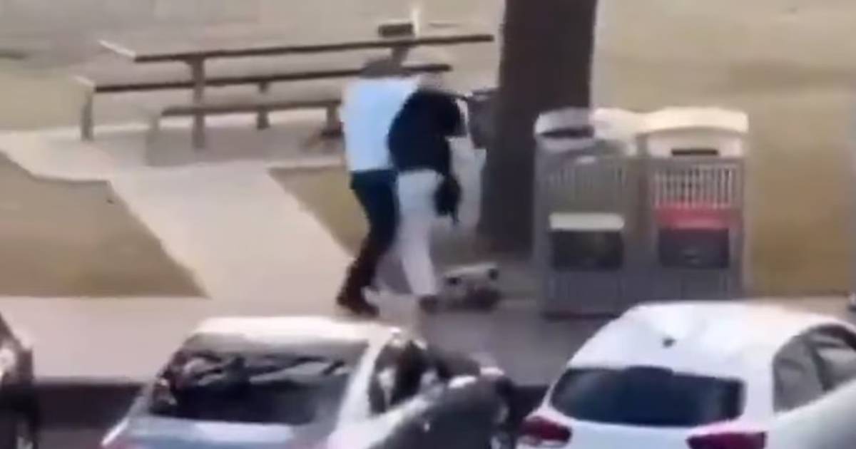 Australia: El momento en el que un civil logró desarmar a uno de los tiradores