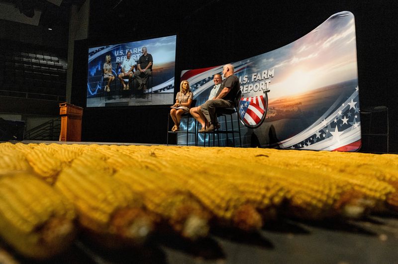 Analysis-US farmers say Trump's $12 billion aid package won't cover losses