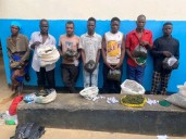 Kasungu Police Arrest Seven for Possession of 50kg of Marijuana