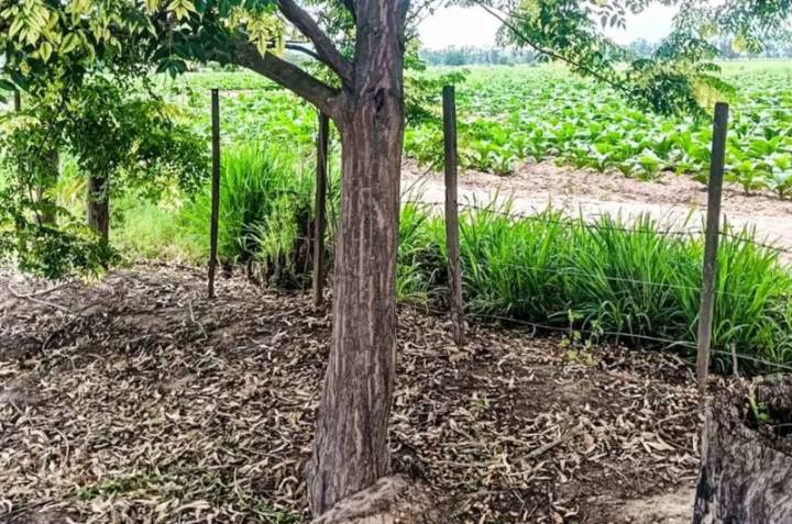 Misteriosa muerte: hallan a una mujer colgada tras una fiesta y su familia denuncia irregularidades