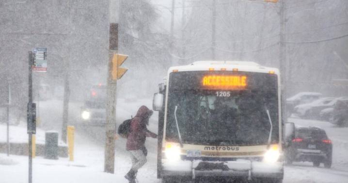 Arctic air could bring wind chills of -30 C to parts of New Brunswick