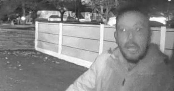 Man 'carrying bricks' stole recycling bin after trying to break into house