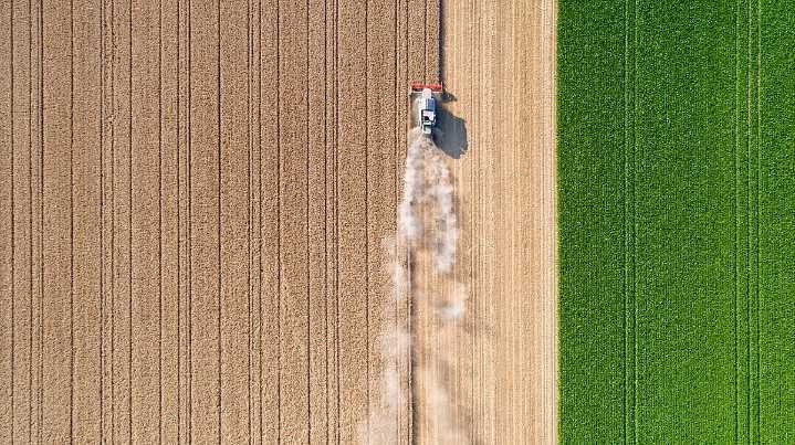 Rising temperatures contribute to higher ozone levels in atmosphere: UN Report