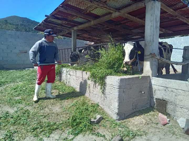 Altosano Granjas Carroll impulsa rotación de cultivos y producción forrajera