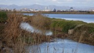 Regenerar playas y dunas, clave para que l’Albufera sobreviva a otra dana