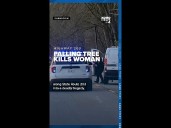 Falling tree kills woman