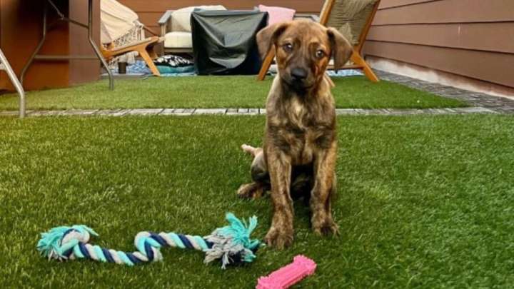 Texas Residents Confront A Heartbreaking Mystery When They Discover What Was Left Behind In A Truck