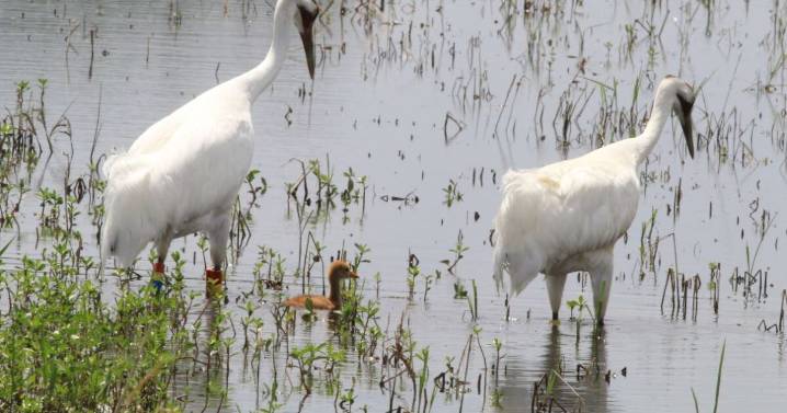 In Your Parish Headlines: December 3, 2025