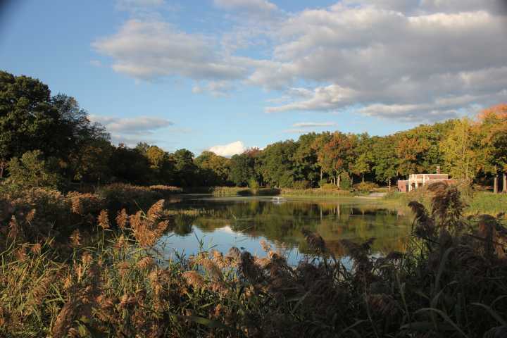 NYC Invests $68 Million to Tackle Prospect Park Flash Flooding Issues