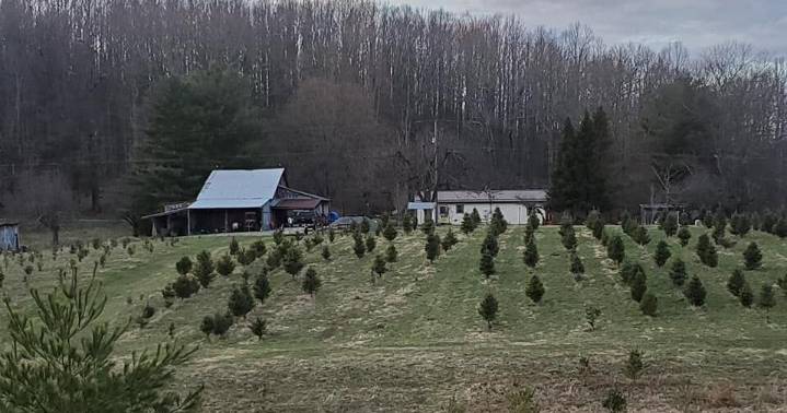 French Creek Christmas Trees offers choose-and-cut experience and holiday fun to central West Virginia