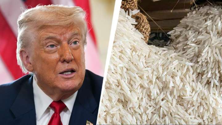 How India's Basmati prevailed over Texmati, forced Trump to warn of tariffs