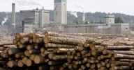 High Level lumber mill closure to affect 190 jobs in northern Alberta