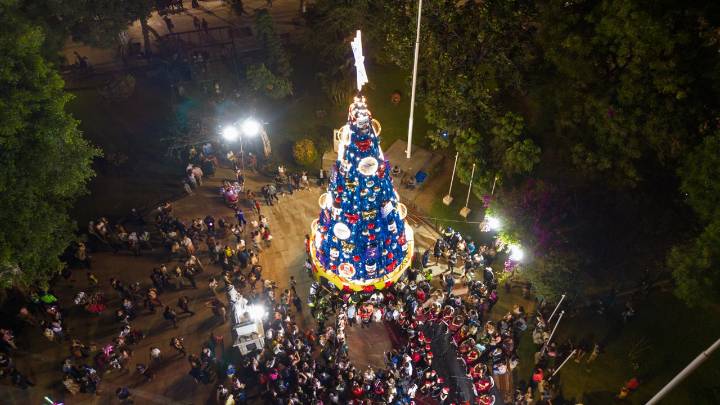 Piura: Encienden árbol navideño de más de 15 metros en la Plaza de Armas