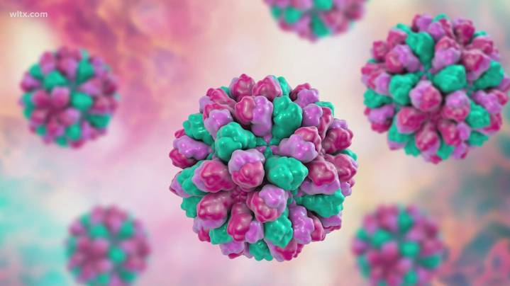 First 2025 flu-related death reported in South Carolina