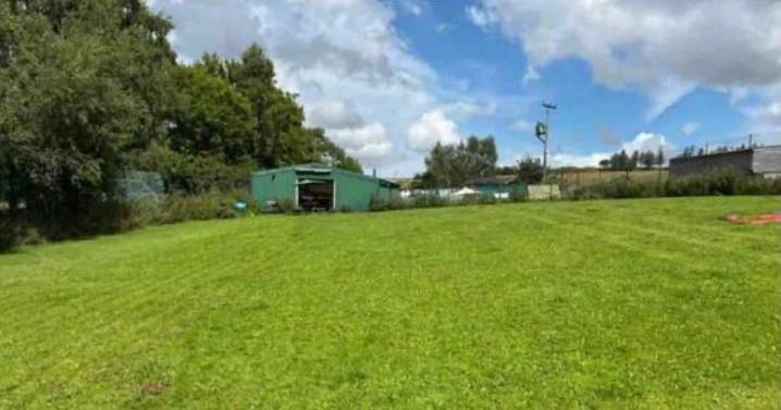 Midlothian dog day care wins fight for new shipping container shelters