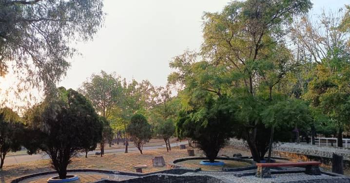 Alistan consulta pública para decretar Parque Alcanfores como ANP