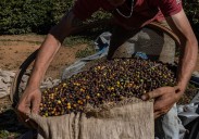 Why the world’s top coffee producer is switching up its beans