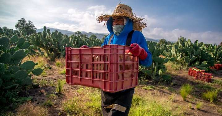 Productos del campo se encarecen entre 10 y 20% por inseguridad: CNA