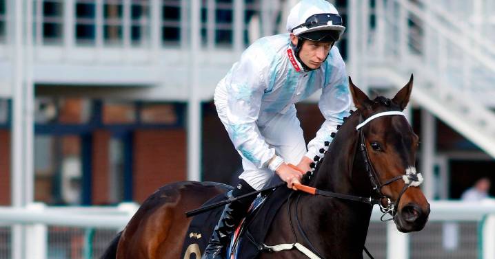 'If the jockey times it right he'll win' – Jason Heavey's Tuesday tips